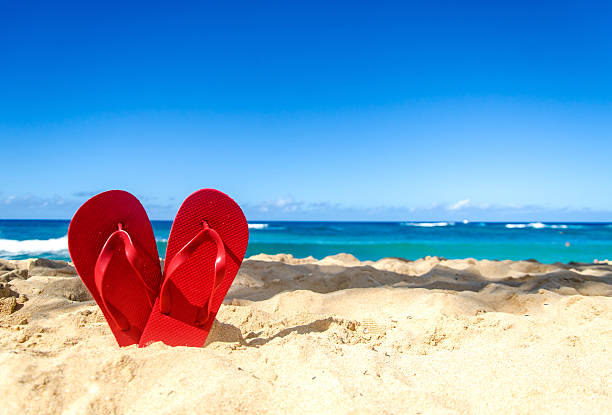 A pair of red flip flops sticking up in the sand on a sunny beach in front of the ocean.